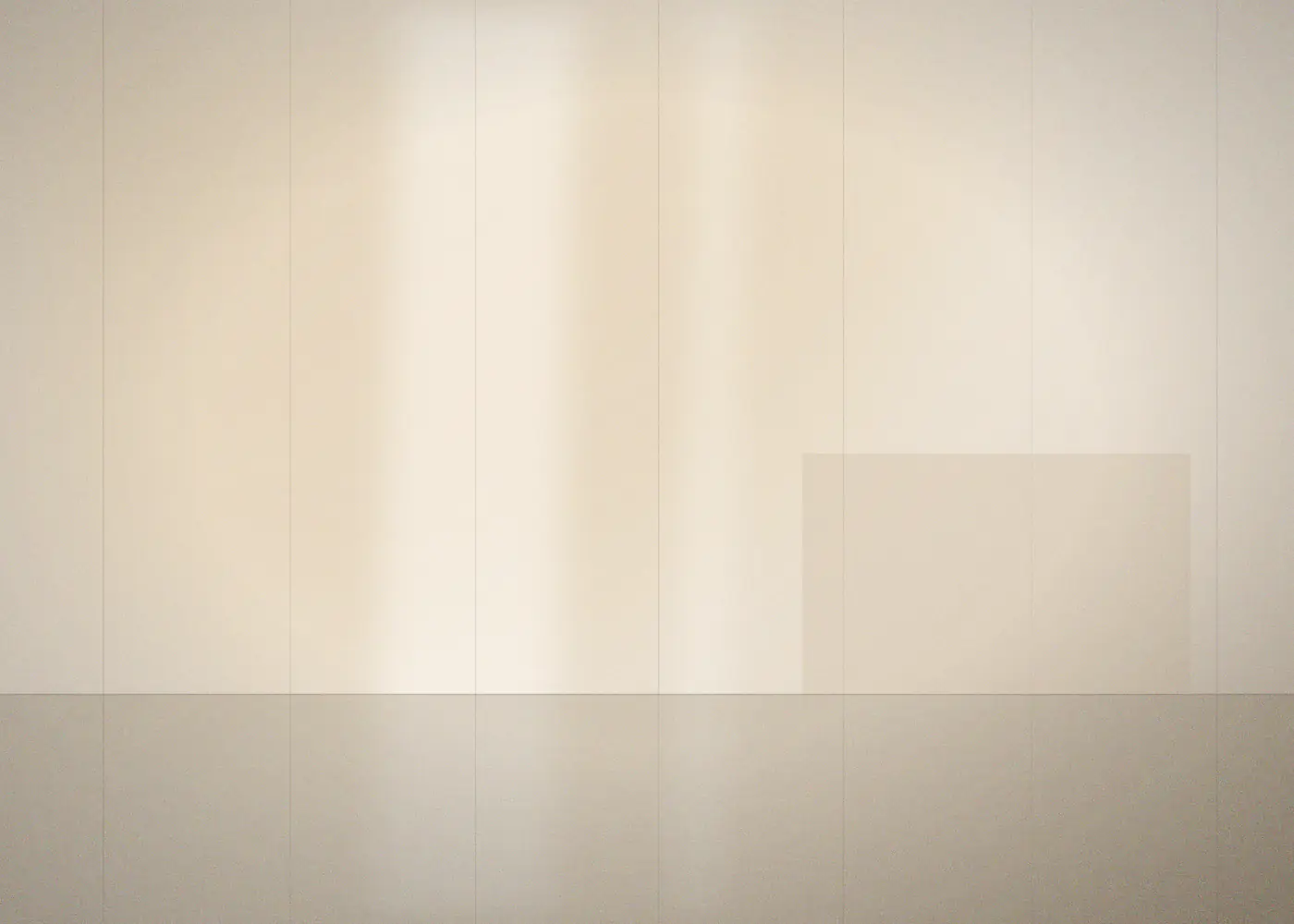 The Beginning, 2008